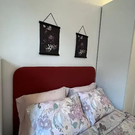 Frank's House & Happy Belem *